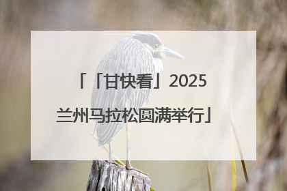 「甘快看」2025兰州马拉松圆满举行