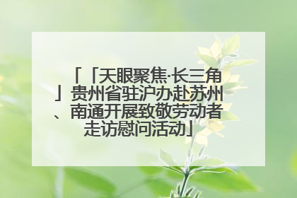 「天眼聚焦·长三角」贵州省驻沪办赴苏州、南通开展致敬劳动者走访慰问活动