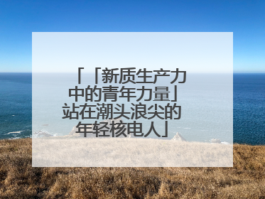 「新质生产力中的青年力量」站在潮头浪尖的年轻核电人