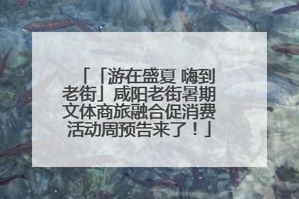 「游在盛夏 嗨到老街」咸阳老街暑期文体商旅融合促消费活动周预告来了！