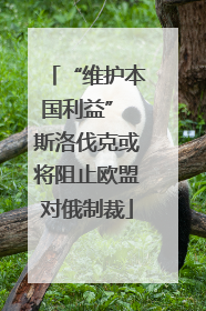 “维护本国利益” 斯洛伐克或将阻止欧盟对俄制裁