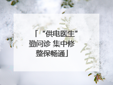“供电医生”勤问诊 集中修整保畅通