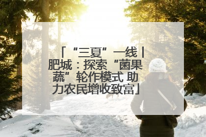 “三夏”一线丨肥城：探索“菌果蔬”轮作模式 助力农民增收致富