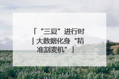 “三夏”进行时｜大数据化身“精准割麦机”