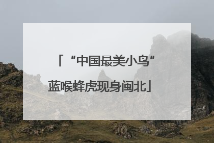 “中国最美小鸟”蓝喉蜂虎现身闽北