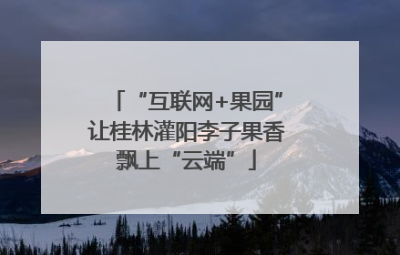 “互联网+果园”让桂林灌阳李子果香飘上“云端”