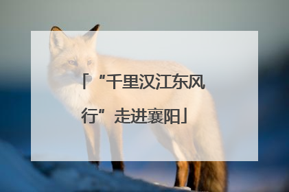“千里汉江东风行”走进襄阳