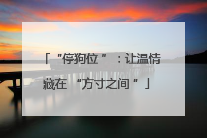 “停狗位 ”：让温情藏在 “方寸之间 ”