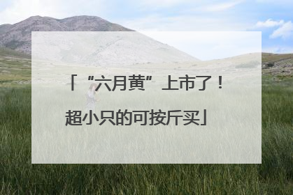 “六月黄”上市了！超小只的可按斤买
