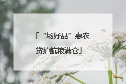 “场好品”惠农贷护航粮满仓