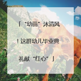 “幼苗”沐清风！这群幼儿毕业典礼献“红心”