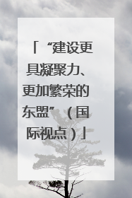 “建设更具凝聚力、更加繁荣的东盟”（国际视点）