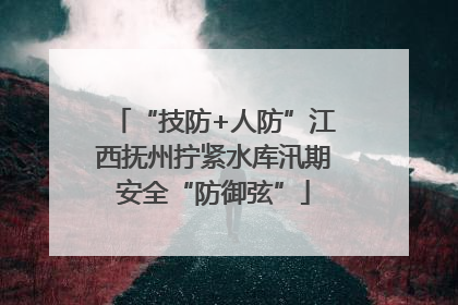 “技防+人防”江西抚州拧紧水库汛期安全“防御弦”