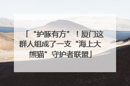 “护豚有方”！厦门这群人组成了一支“海上大熊猫”守护者联盟