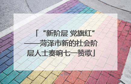 “新阶层 党旗红”——菏泽市新的社会阶层人士奏响七一赞歌
