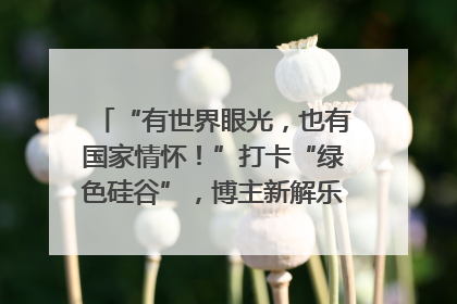“有世界眼光，也有国家情怀！”打卡“绿色硅谷”，博主新解乐山｜网络名人四川行