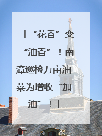 “花香”变“油香”！南漳巡检万亩油菜为增收“加油”！