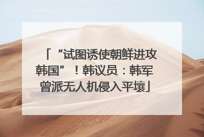 “试图诱使朝鲜进攻韩国”！韩议员：韩军曾派无人机侵入平壤