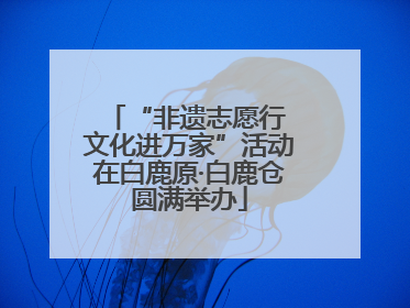 “非遗志愿行 文化进万家”活动在白鹿原·白鹿仓圆满举办