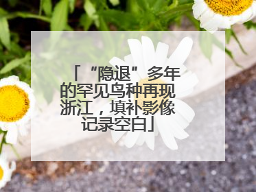 “隐退”多年的罕见鸟种再现浙江，填补影像记录空白