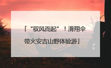 “驭风而起”！滑翔伞带火安吉山野体验游