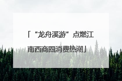 “龙舟溪游”点燃江南西商圈消费热潮