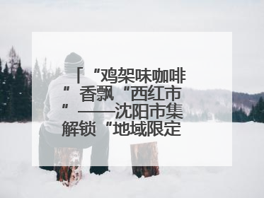 “鸡架味咖啡”香飘“西红市”——沈阳市集解锁“地域限定”消费新场景
