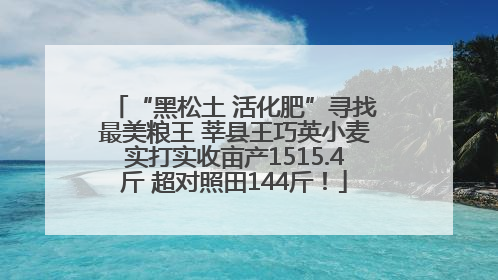 “黑松土 活化肥”寻找最美粮王 莘县王巧英小麦实打实收亩产1515.4斤 超对照田144斤！