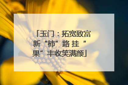 玉门：拓宽致富新“柿”路 挂“果”丰收笑满颜