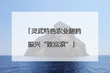 灵武特色农业翻腾振兴“致富浪”