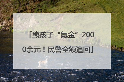 熊孩子“氪金”2000余元！民警全额追回