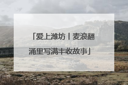 爱上潍坊丨麦浪翻涌里写满丰收故事