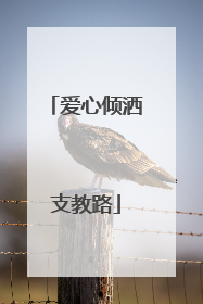 爱心倾洒支教路