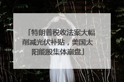 特朗普税收法案大幅削减光伏补贴，美国太阳能股集体崩盘