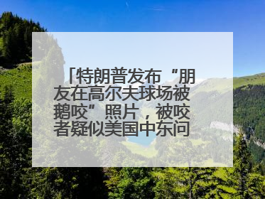 特朗普发布“朋友在高尔夫球场被鹅咬”照片，被咬者疑似美国中东问题特使