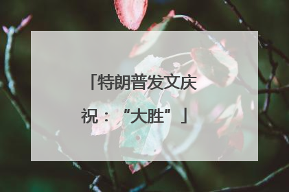 特朗普发文庆祝：“大胜”