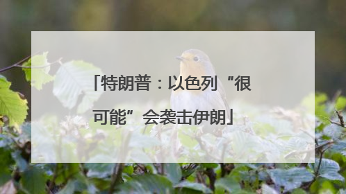 特朗普：以色列“很可能”会袭击伊朗