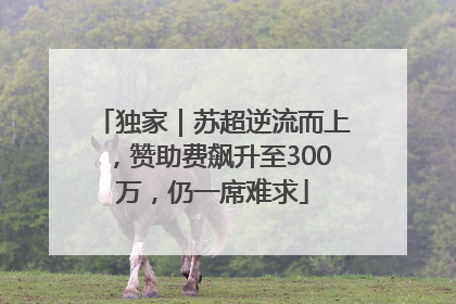 独家｜苏超逆流而上，赞助费飙升至300万，仍一席难求