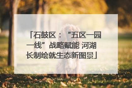 石鼓区：“五区一园一线”战略赋能 河湖长制绘就生态新图景