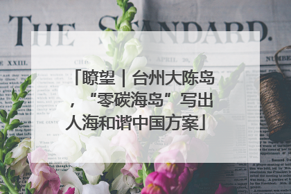 瞭望｜台州大陈岛，“零碳海岛”写出人海和谐中国方案