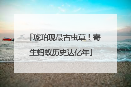 琥珀现最古虫草！寄生蚂蚁历史达亿年
