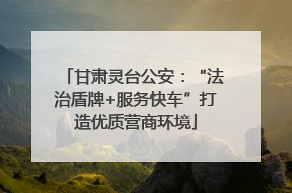 甘肃灵台公安：“法治盾牌+服务快车”打造优质营商环境