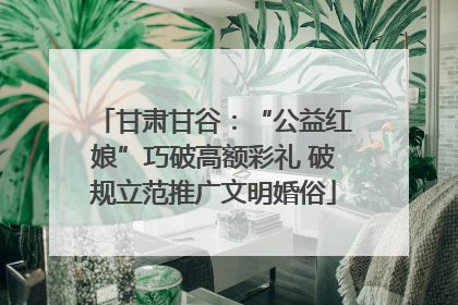 甘肃甘谷：“公益红娘”巧破高额彩礼 破规立范推广文明婚俗