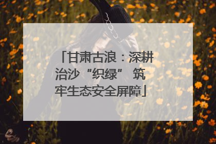 甘肃古浪：深耕治沙“织绿” 筑牢生态安全屏障