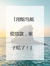 用鸵鸟抵偿货款，案子结了！