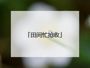 田间忙抢收
