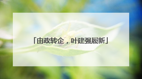 由政转企，叶建强履新