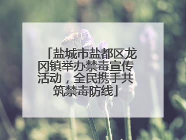 盐城市盐都区龙冈镇举办禁毒宣传活动，全民携手共筑禁毒防线