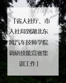 省人社厅、市人社局到湖北东风汽车技师学院调研技能竞赛集训工作