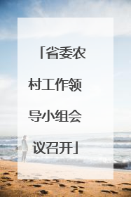 省委农村工作领导小组会议召开